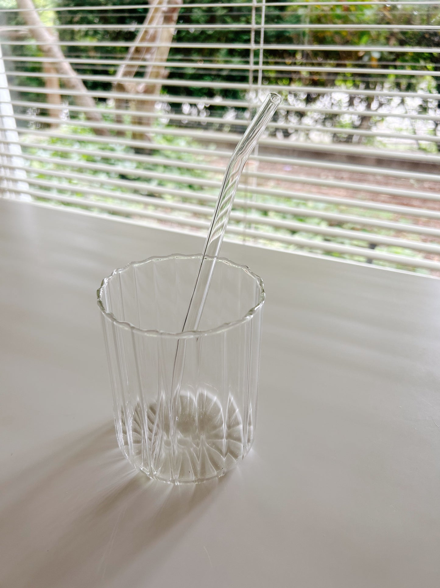Curved Glass Straw Set (2 Pieces)