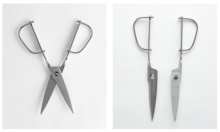 Detachable Basic Kitchen Scissors