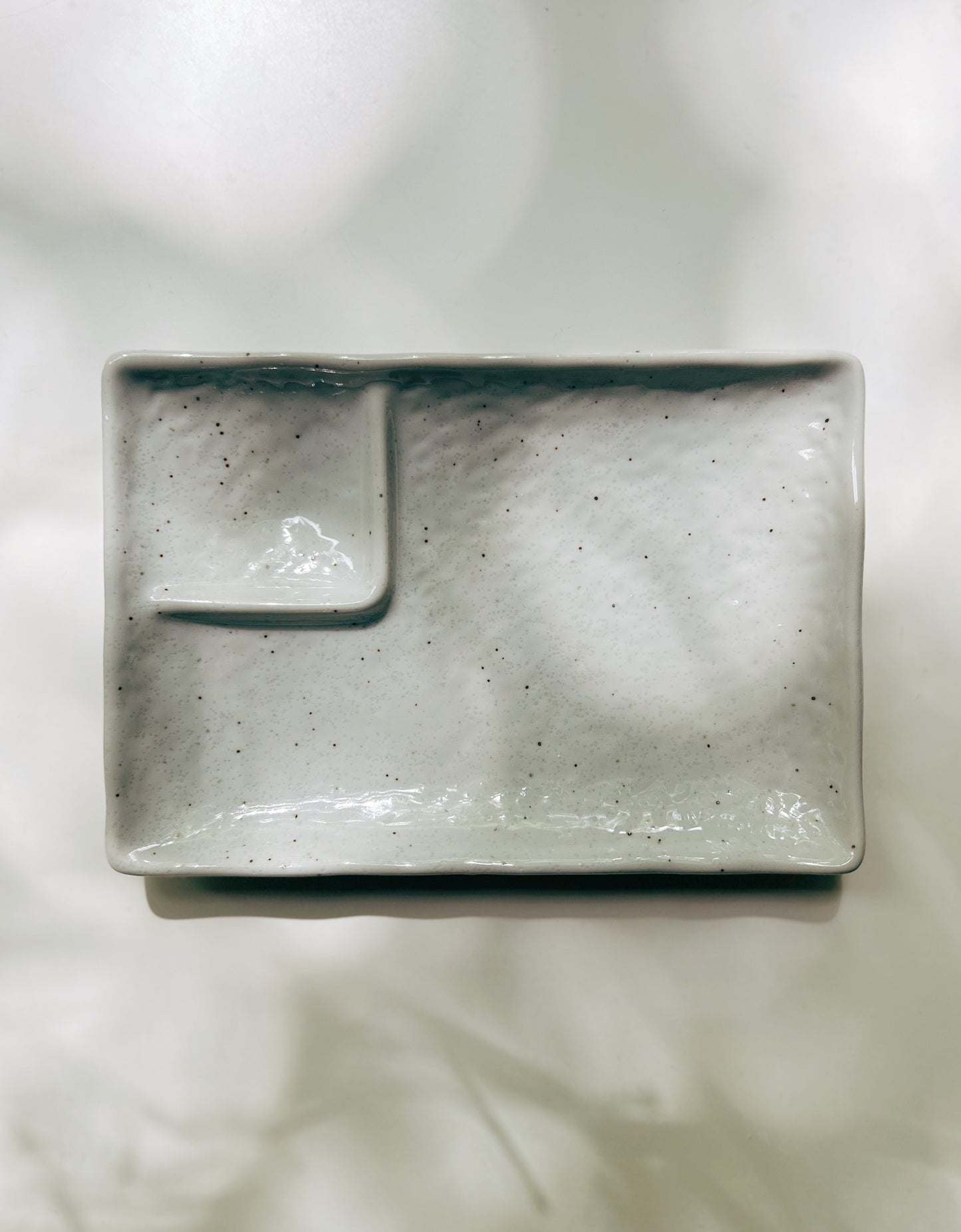 Divided Plate