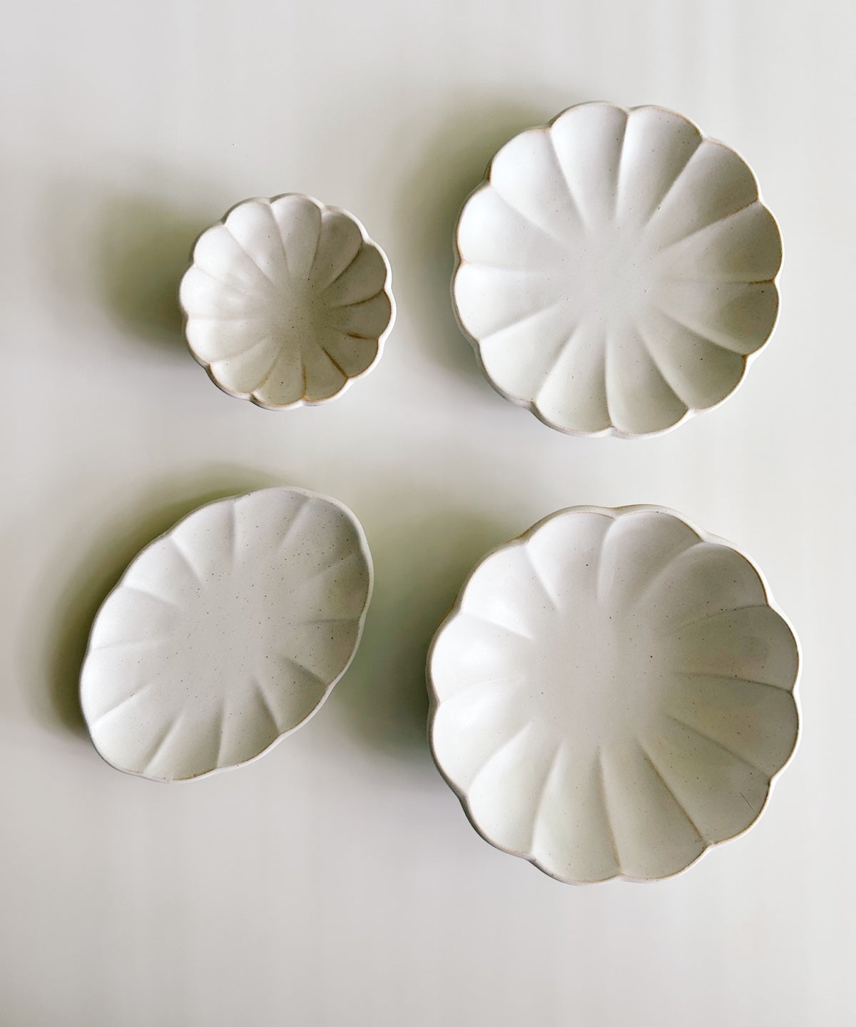 Shinoki Series