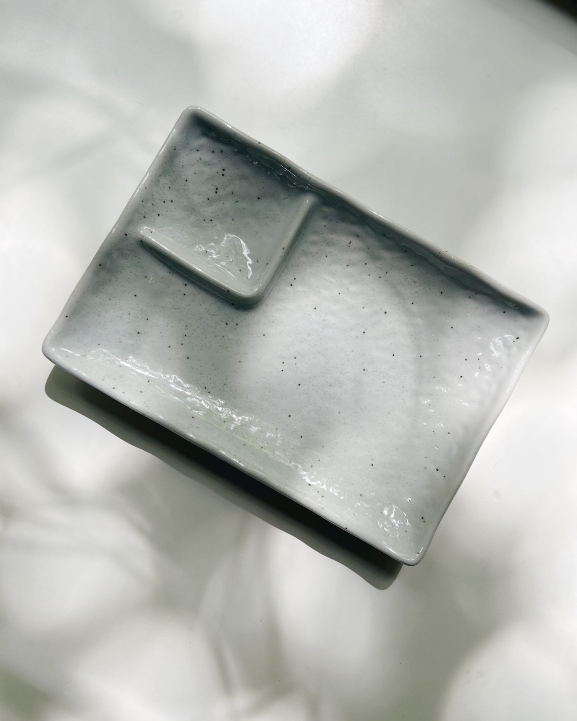 divided plate