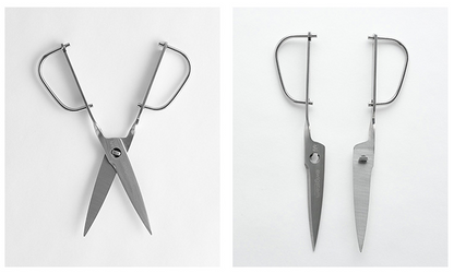 Detachable Basic Kitchen Scissors