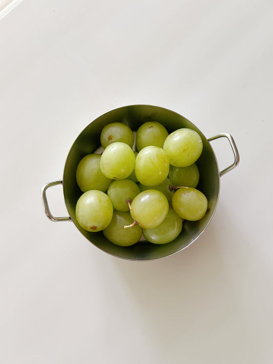 Stainless Mini Handle Bowl
