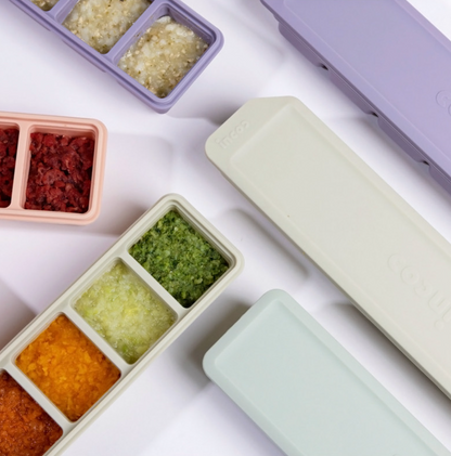 Premium Dual-Sealed Silicone Baby Food Freezer Tray (6 Cubes)